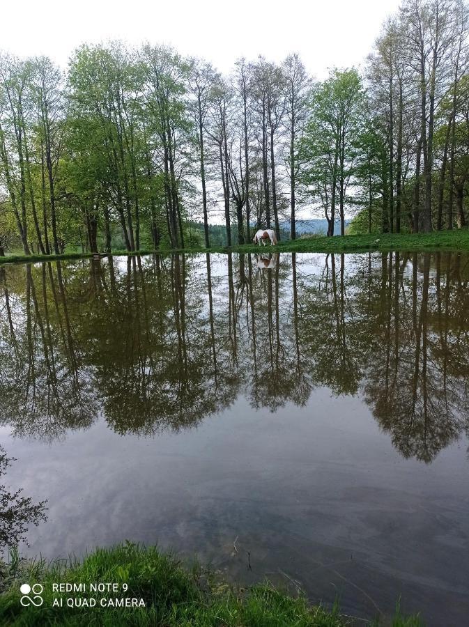 Apartmány u Bečova nad Teplou Bečov nad Teplou Exterior foto